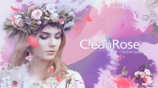 clean rose