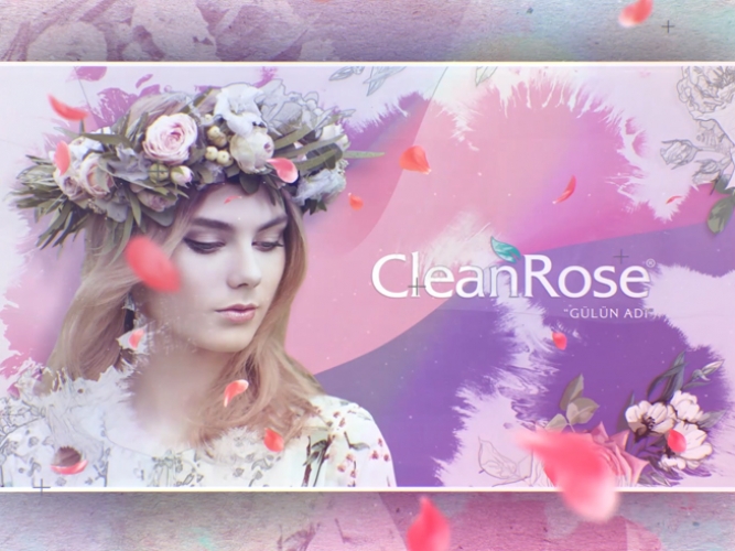 clean rose