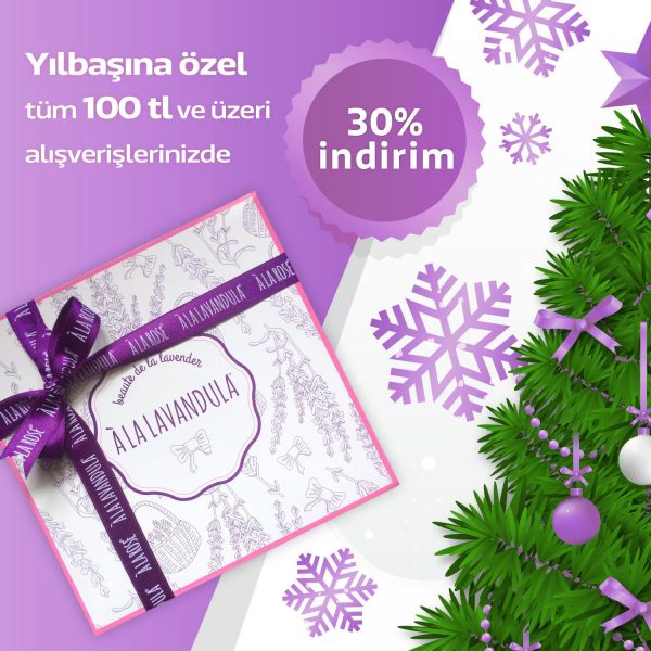 chrismas offer1